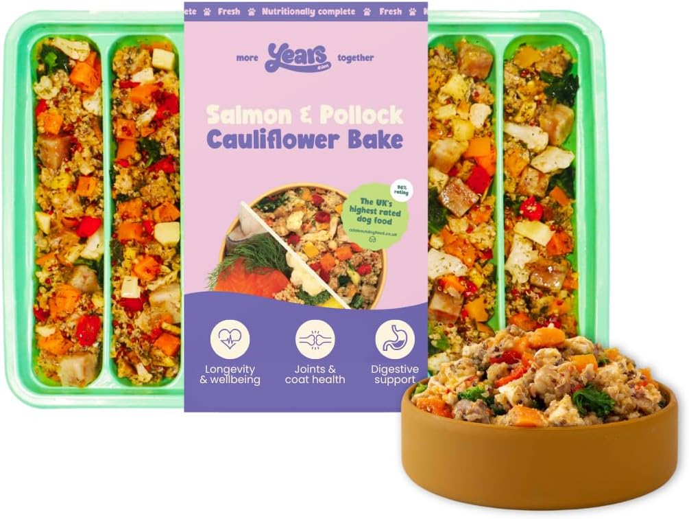 4x Salmon & Pollock Cauliflower Bake  | Grain Free | Years Complete Nutritional Fresh Wet Dog Food |  Hypoallergenic