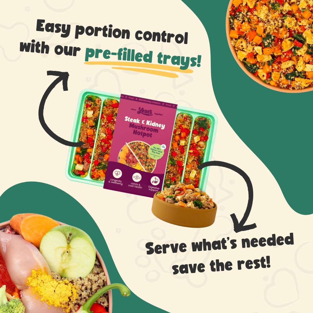 4x Steak & Kidney Mushroom Hotpot Adult Dog Food | Grain Free | Years Complete Nutritional Fresh Wet Dog Food | Hypoallergenic - Image 2