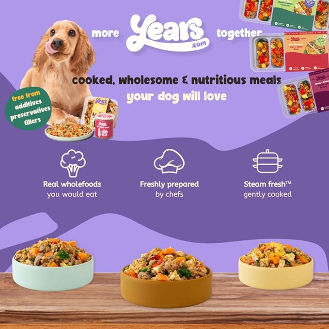 8x Turkey Thigh Cranberry Fricassee| Grain Free | Years Complete Nutritional Fresh Wet Dog Food |  Hypoallergenic - Image 3