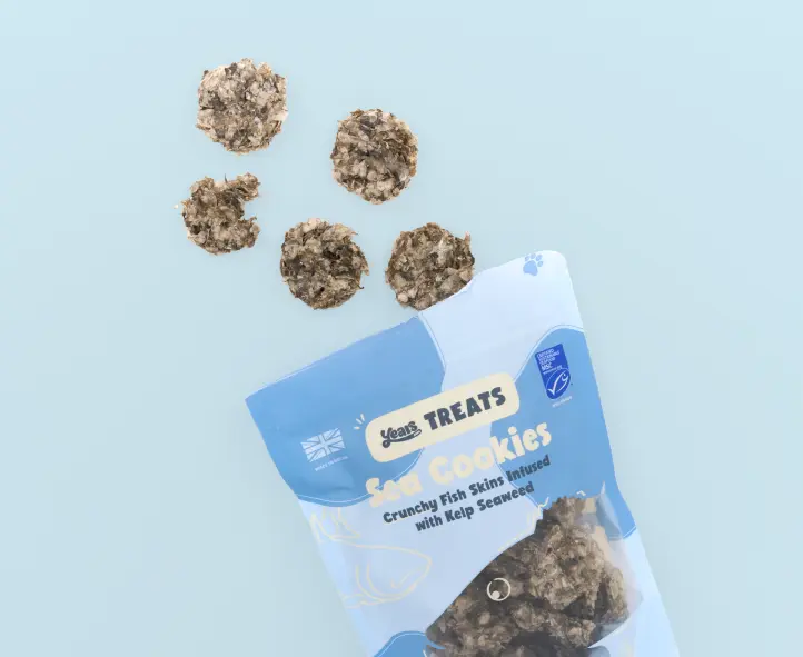 Sea Cookies - Image 5