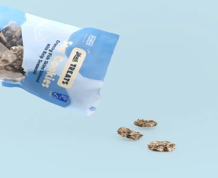 Sea Cookies - Image 6