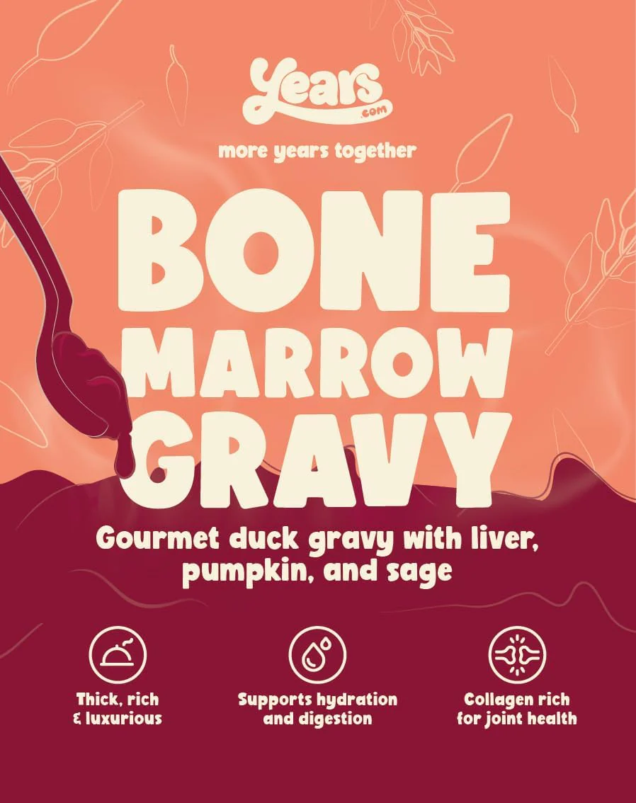 5x Gourmet Duck Bone Marrow Gravy with Liver, Pumpkin and Sage - Image 5