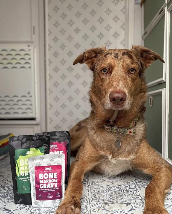 5x Organic Chicken Bone Marrow Broth - Free-Range - Image 4