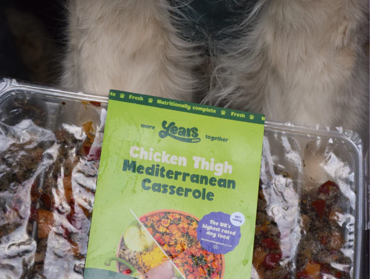 Chicken Thigh Mediterranean Casserole - Single Puppy Meal - Image 4