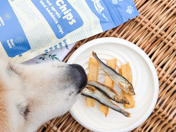 Crunchy Sea Bites Bundle - Image 3