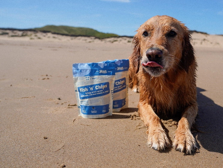 Crunchy Sea Bites Bundle - Image 6