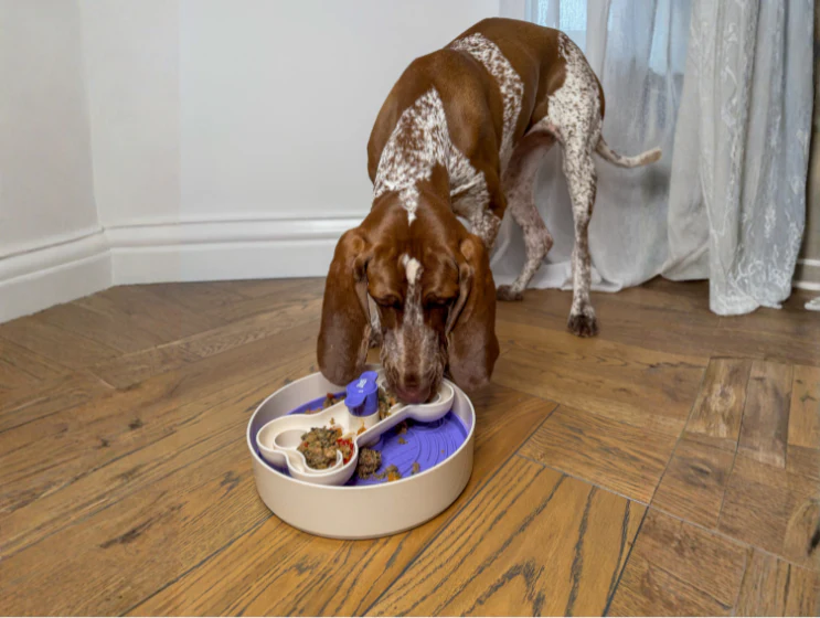 Dinner Spinner Slow Feeding Puzzle Bowl - Image 8