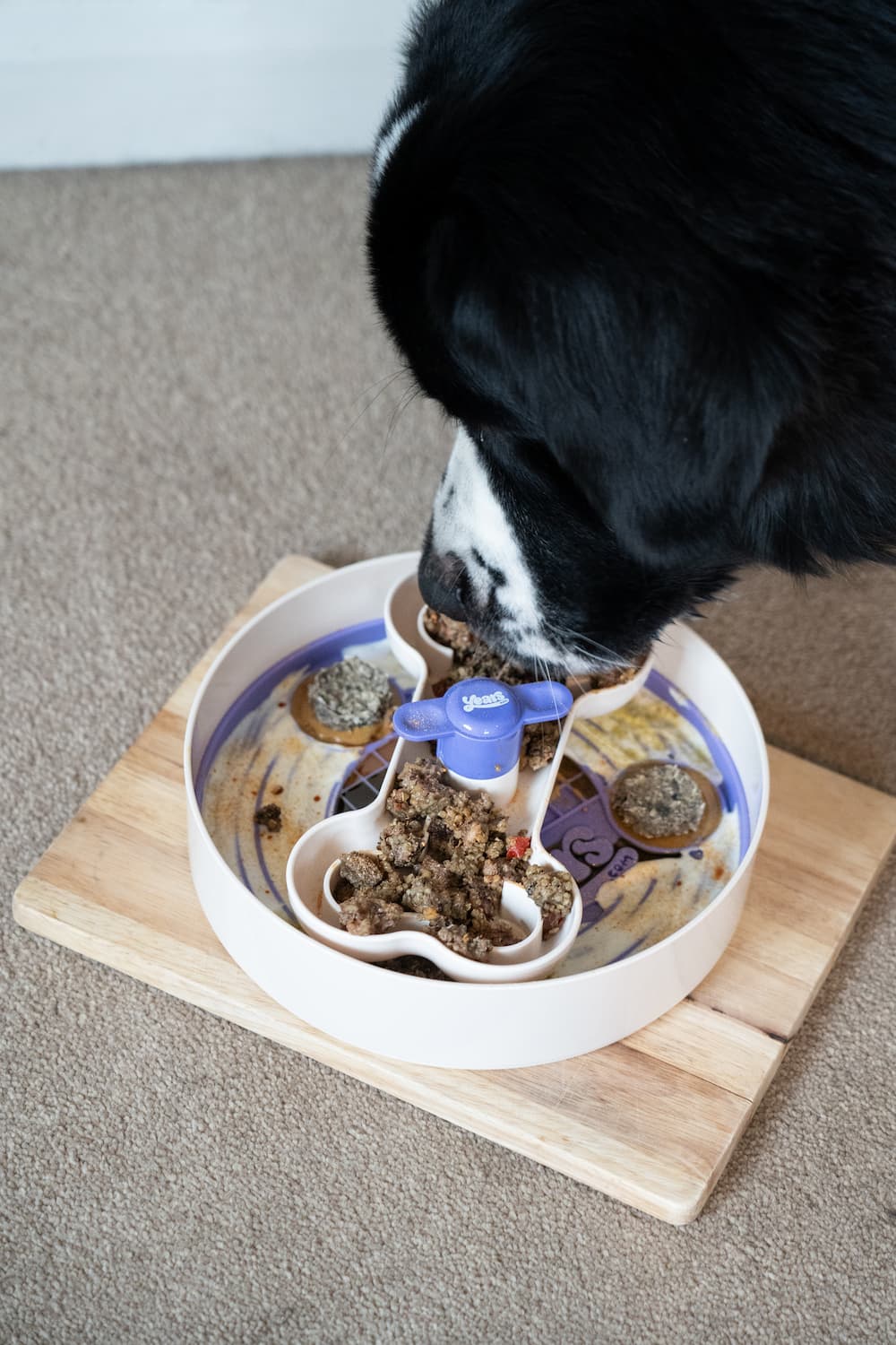 Dinner Spinner - Image 7