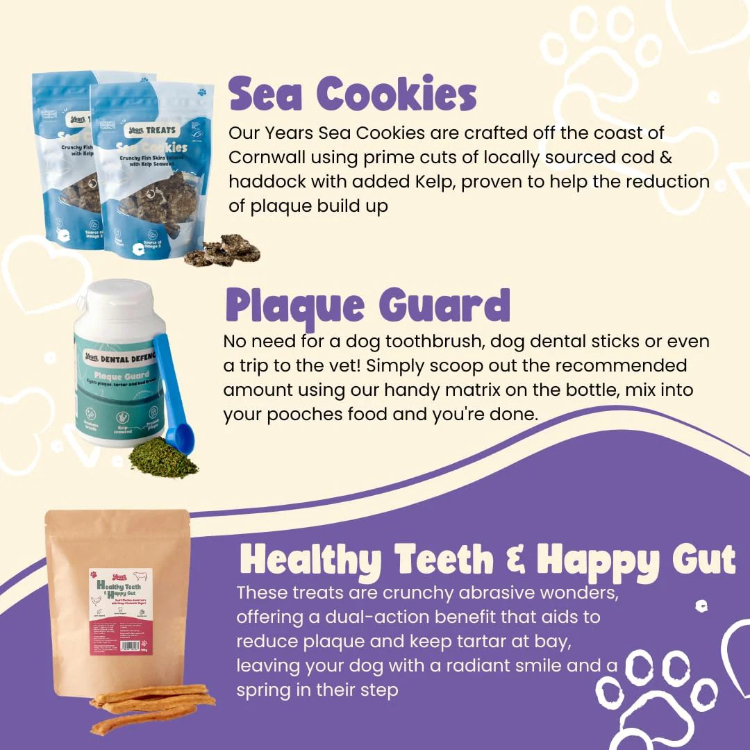 Doggy Dental Delight Hamper - Image 2