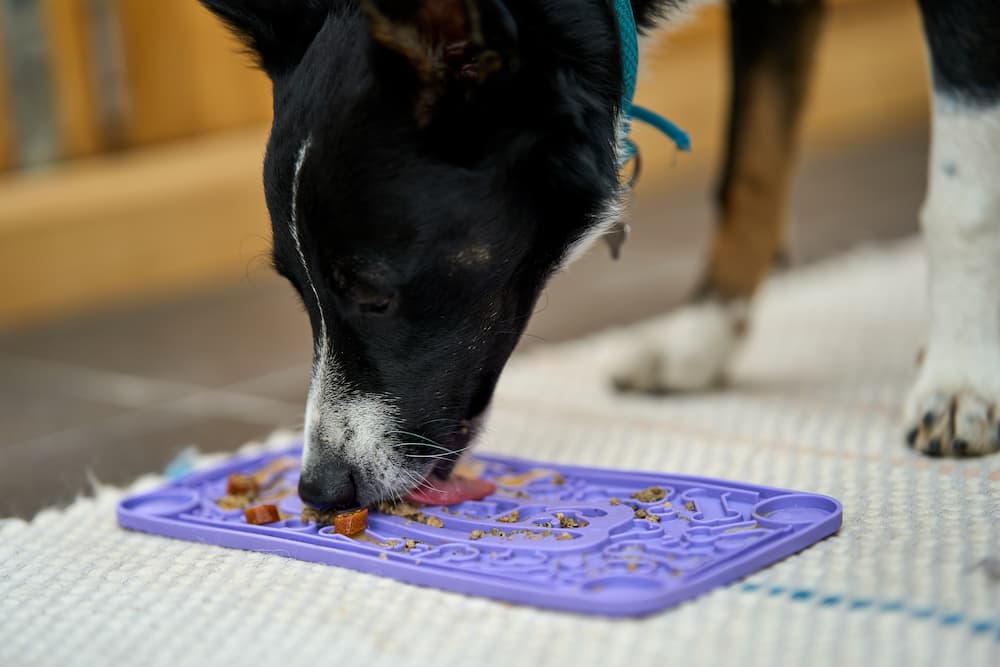 Stick 'n' Lick - Image 4