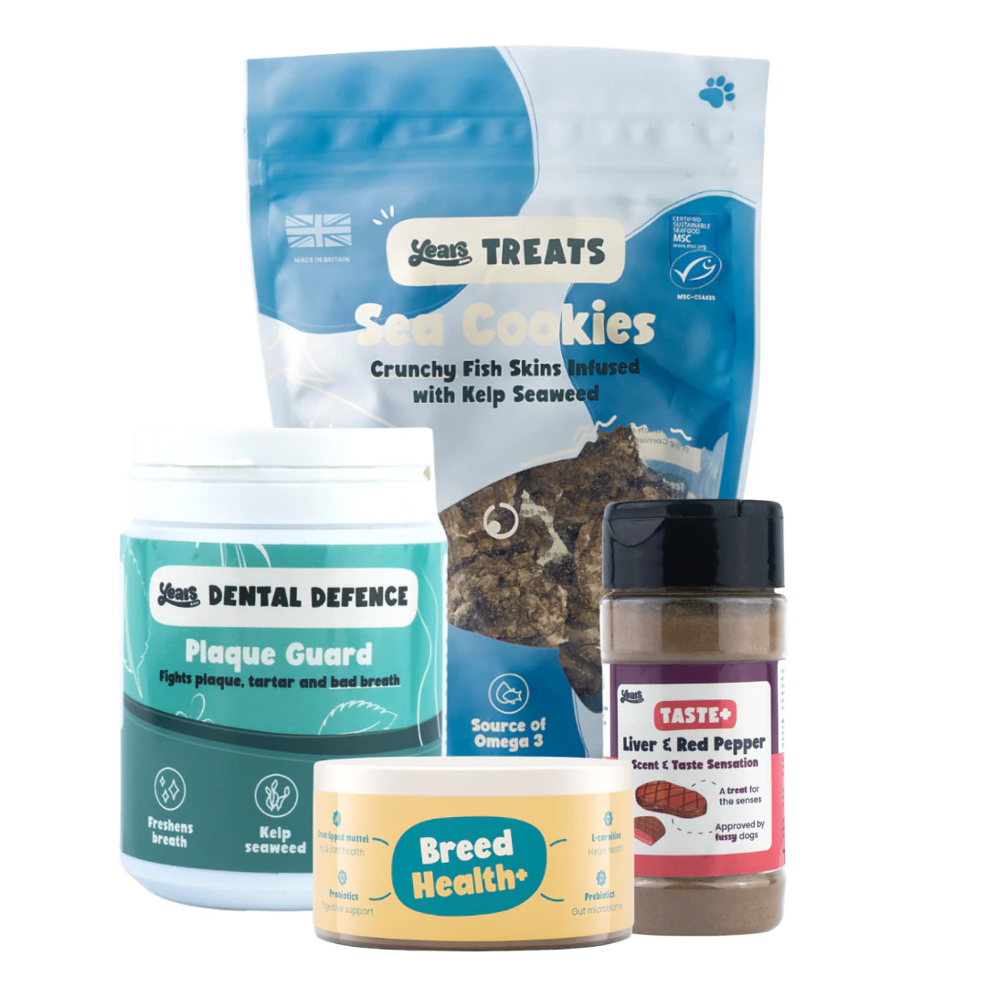Labrador Ultimate Health Bundle