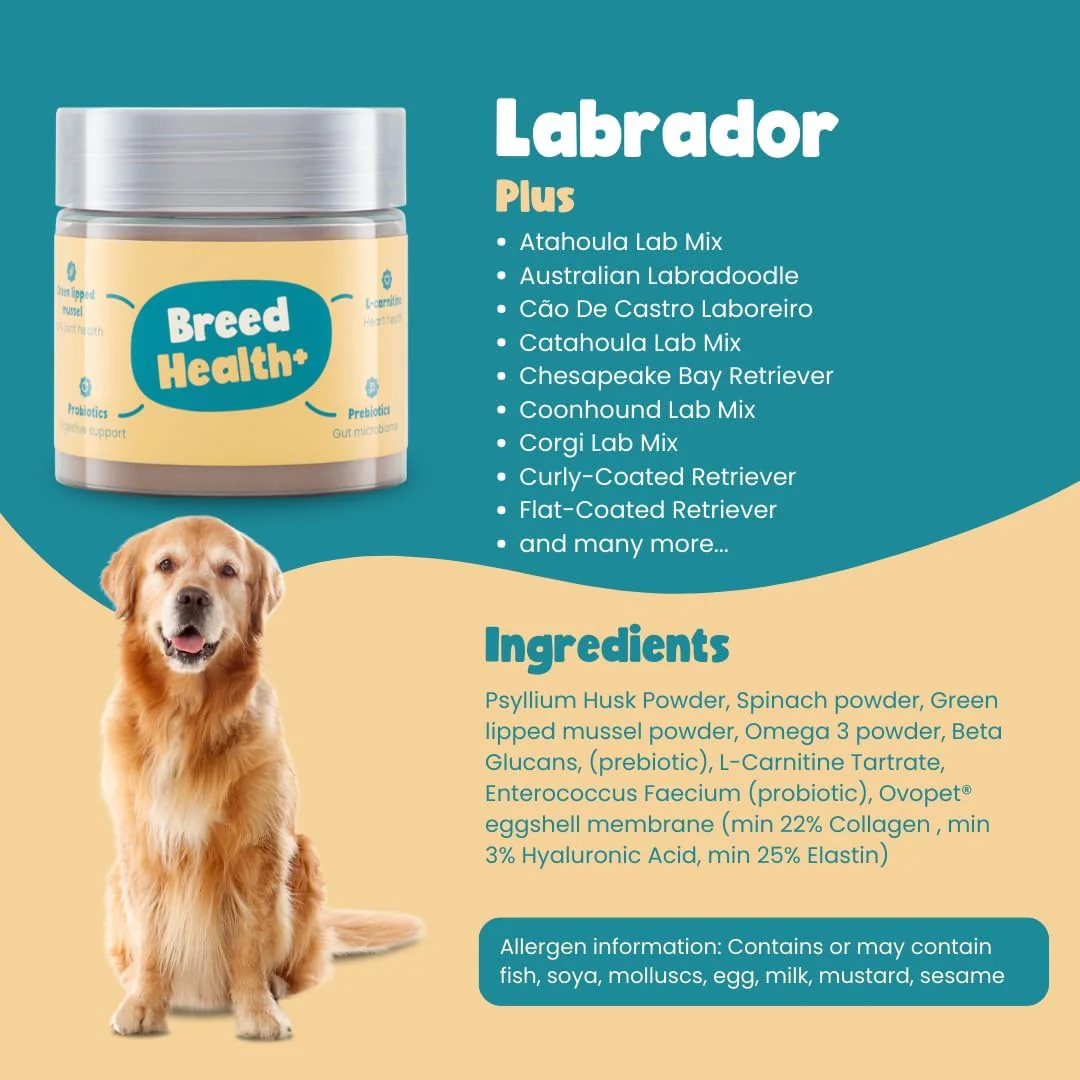 Labrador Ultimate Health Bundle - Image 4