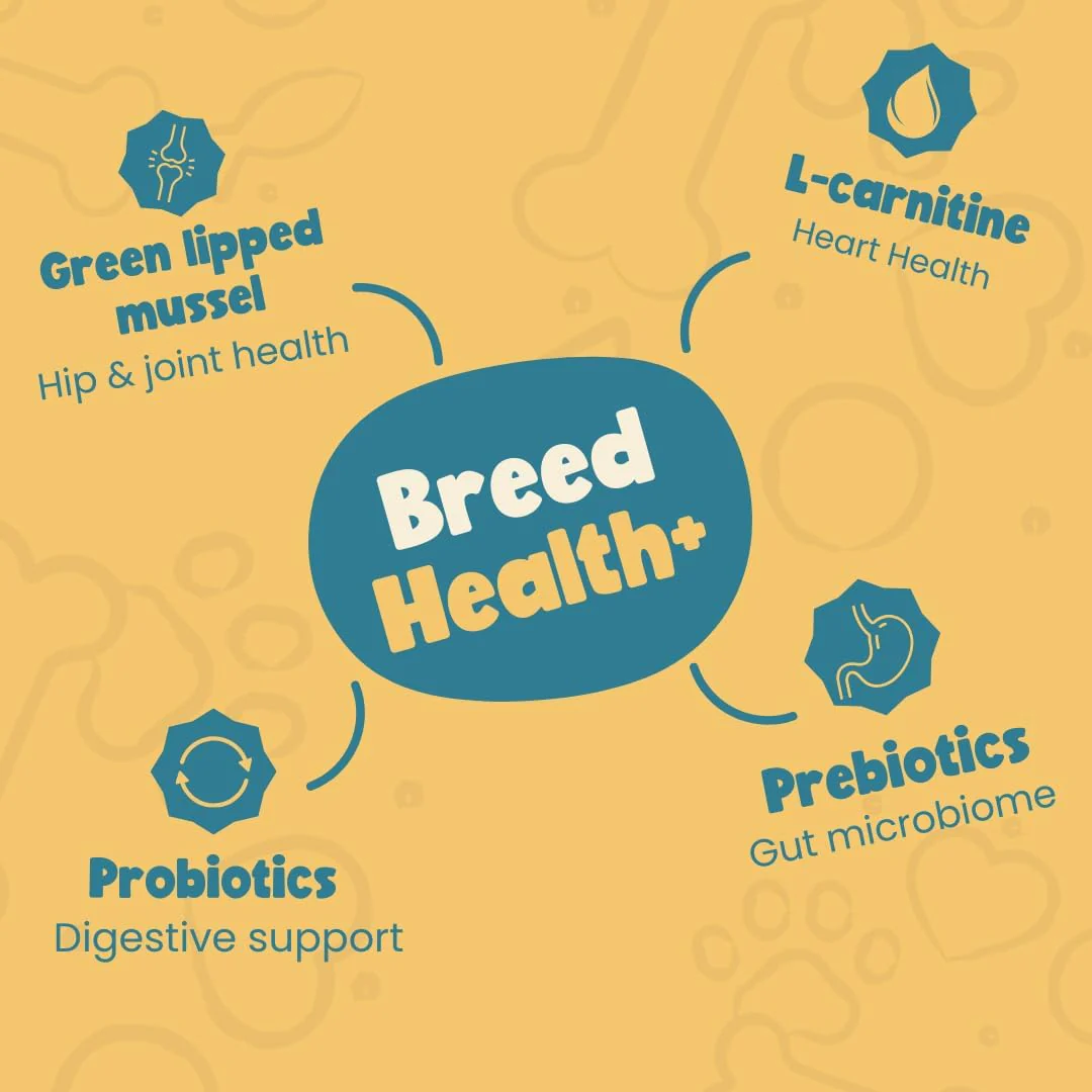 Labrador Ultimate Health Bundle - Image 5