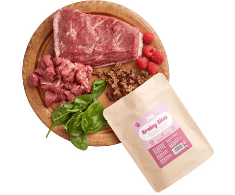 Lean Beef Brainy Bites - Image 6