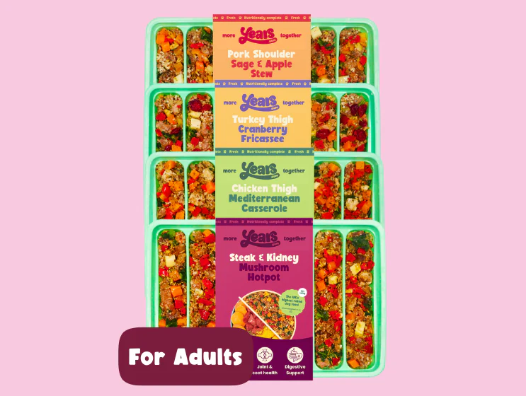 Meat 'Pawty' Collection - Pork, Steak, Chicken & Turkey (4 Pack) - Image 2