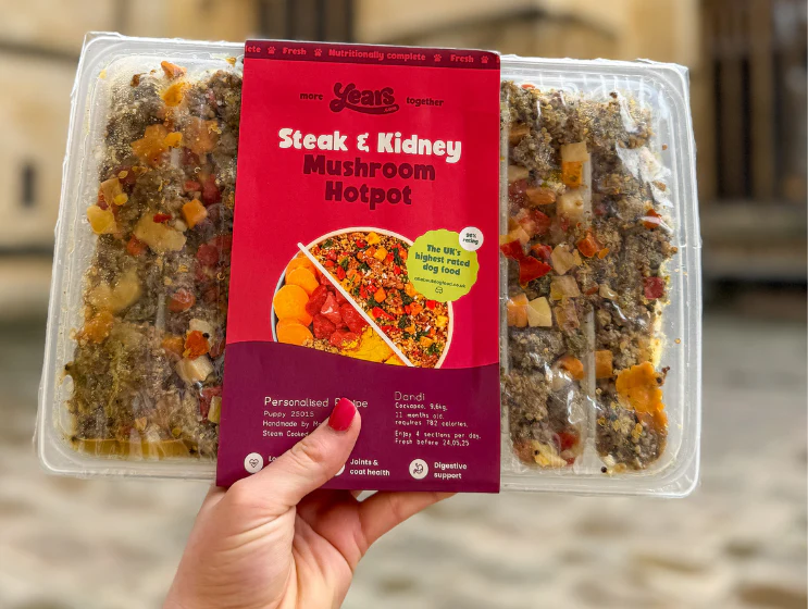Meat 'Pawty' Collection - Pork, Steak, Chicken & Turkey (4 Pack) - Image 5