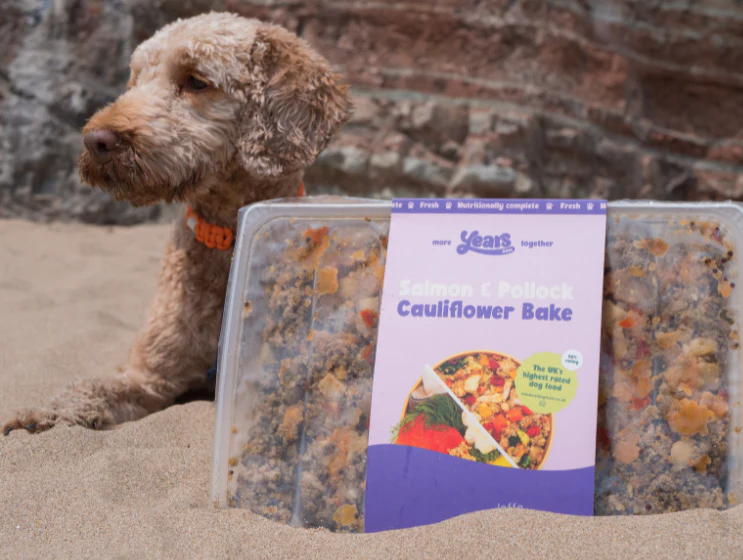 Salmon & Pollock Cauliflower Bake - Single Puppy Meal - Image 4
