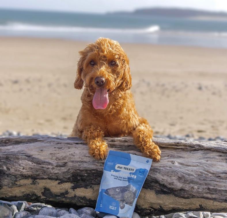 5x YEARS Fish Sea Natural Dog Treats High in Omega-3 B12 & B3 Vitamins for Dog Dental Plaque Health Breath Freshener & Healthy Coat MSC Certified Fish Treat Visit the Years Store - Image 5
