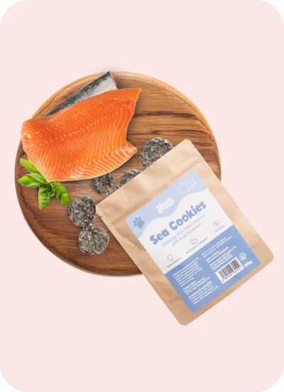5x YEARS Fish Sea Natural Dog Treats High in Omega-3 B12 & B3 Vitamins for Dog Dental Plaque Health Breath Freshener & Healthy Coat MSC Certified Fish Treat Visit the Years Store - Image 6