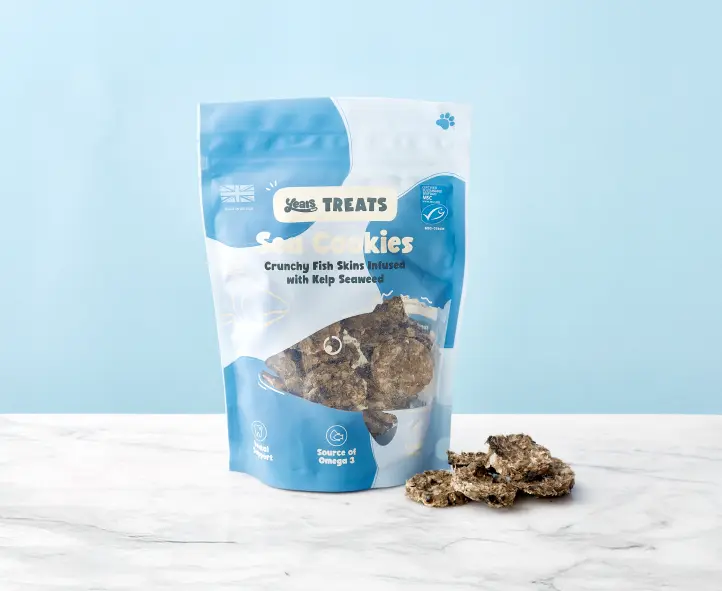 Sea Cookies - Image 3