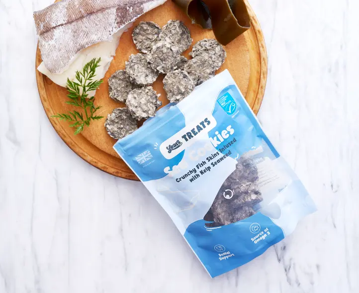 Sea Cookies - Image 4