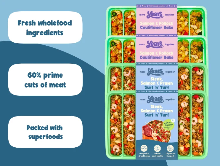 Seafood Platter Collection - Surf N' Turf & Salmon & Pollock Cauliflower Bake (4 Pack)