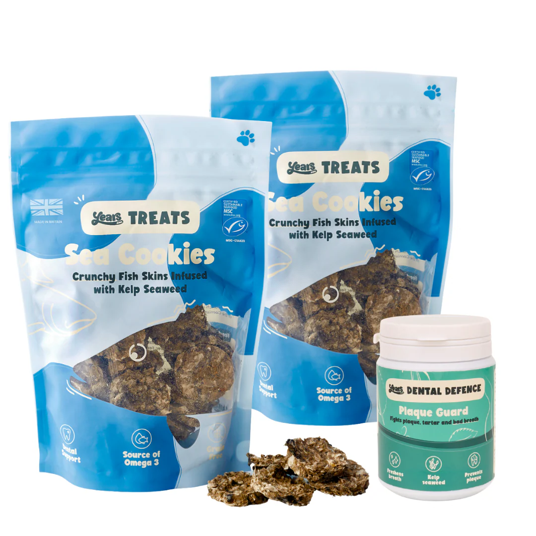 Smile Starter Kit - Everything You Need For Sparkling Doggy Teeth