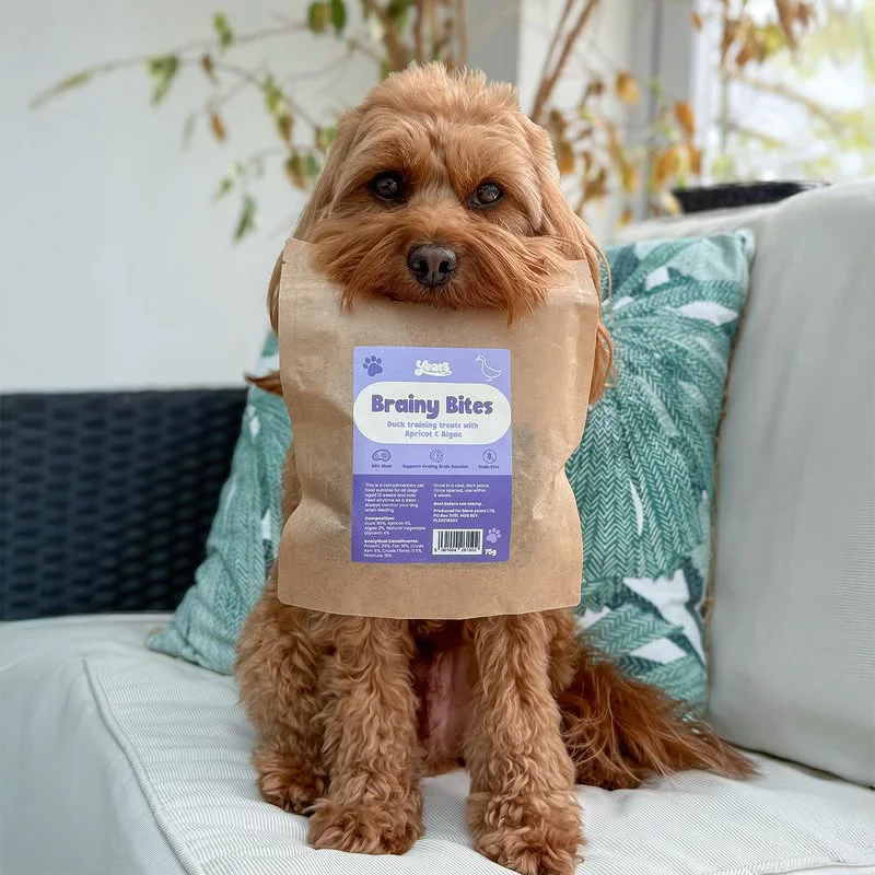 Snack Bundle - Image 4