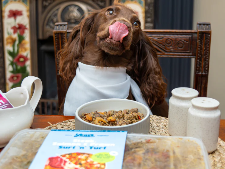 Steak, Salmon & Prawn Surf 'N' Turf - Single Puppy Meal - Image 5