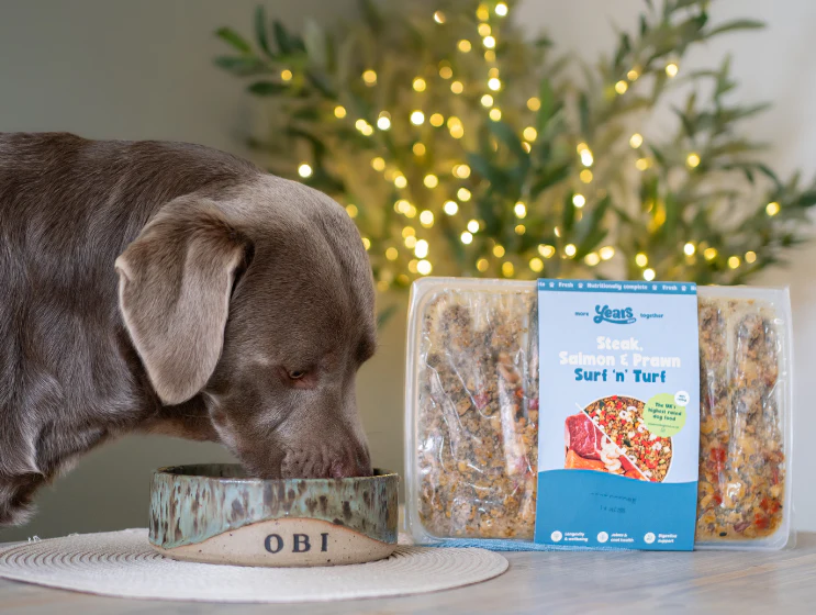Steak, Salmon & Prawn Surf 'N' Turf - Single Puppy Meal - Image 6