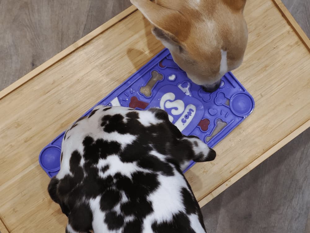 Stick 'n' Lick - Image 5