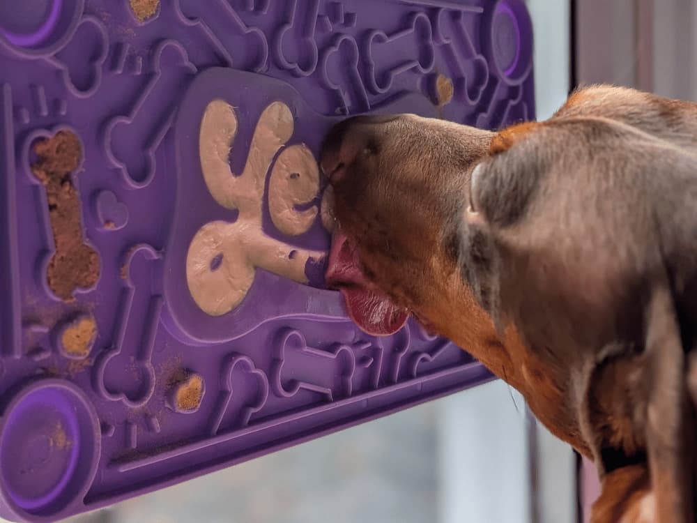 Stick 'n' Lick - Image 6