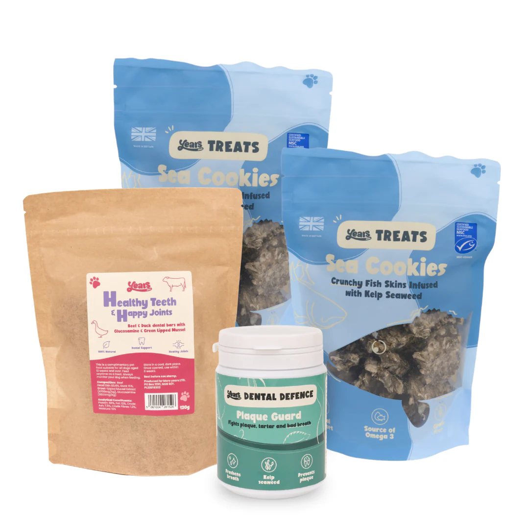 The Ultimate Doggy Dental Delight Hamper