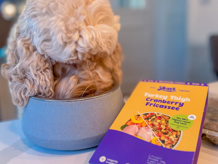 Turkey Thigh Cranberry Fricassee - Single Puppy Meal - Image 3