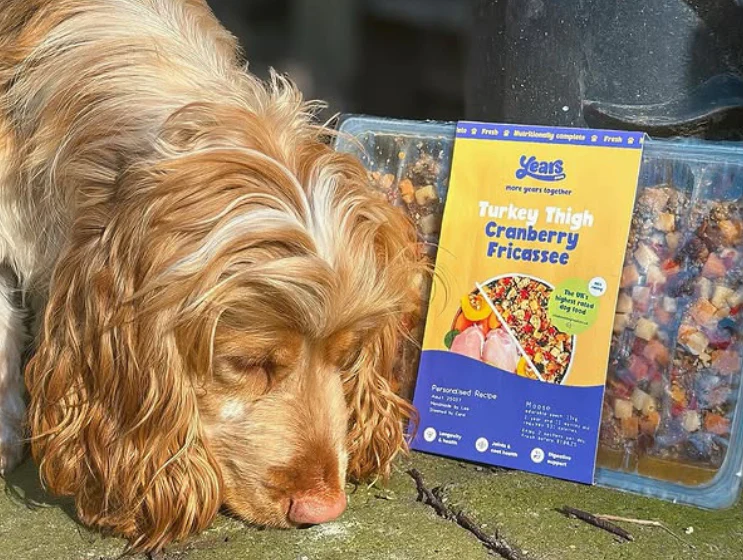 Turkey Thigh Cranberry Fricassee - Single Puppy Meal - Image 4