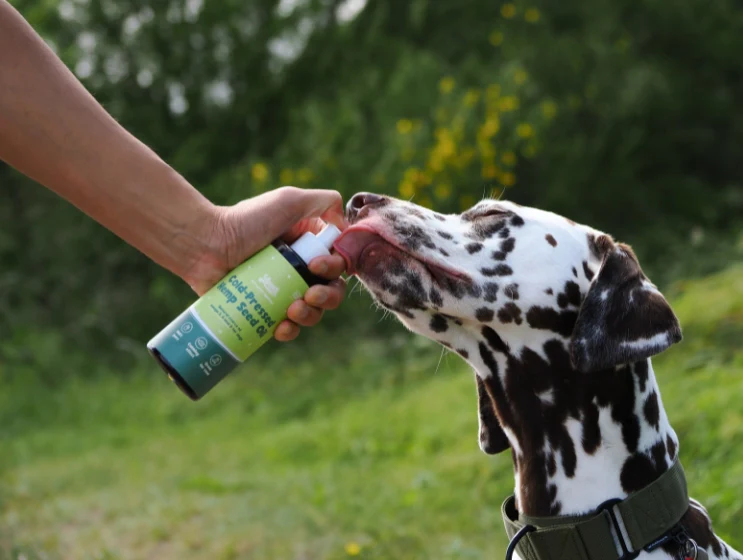 Scottish Salmon & Hemp Seed Oil - Image 6