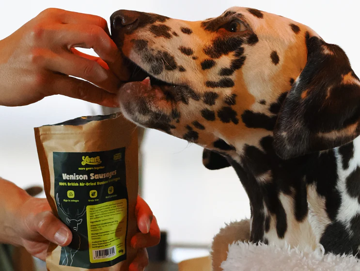 Venison Sausages - Image 6