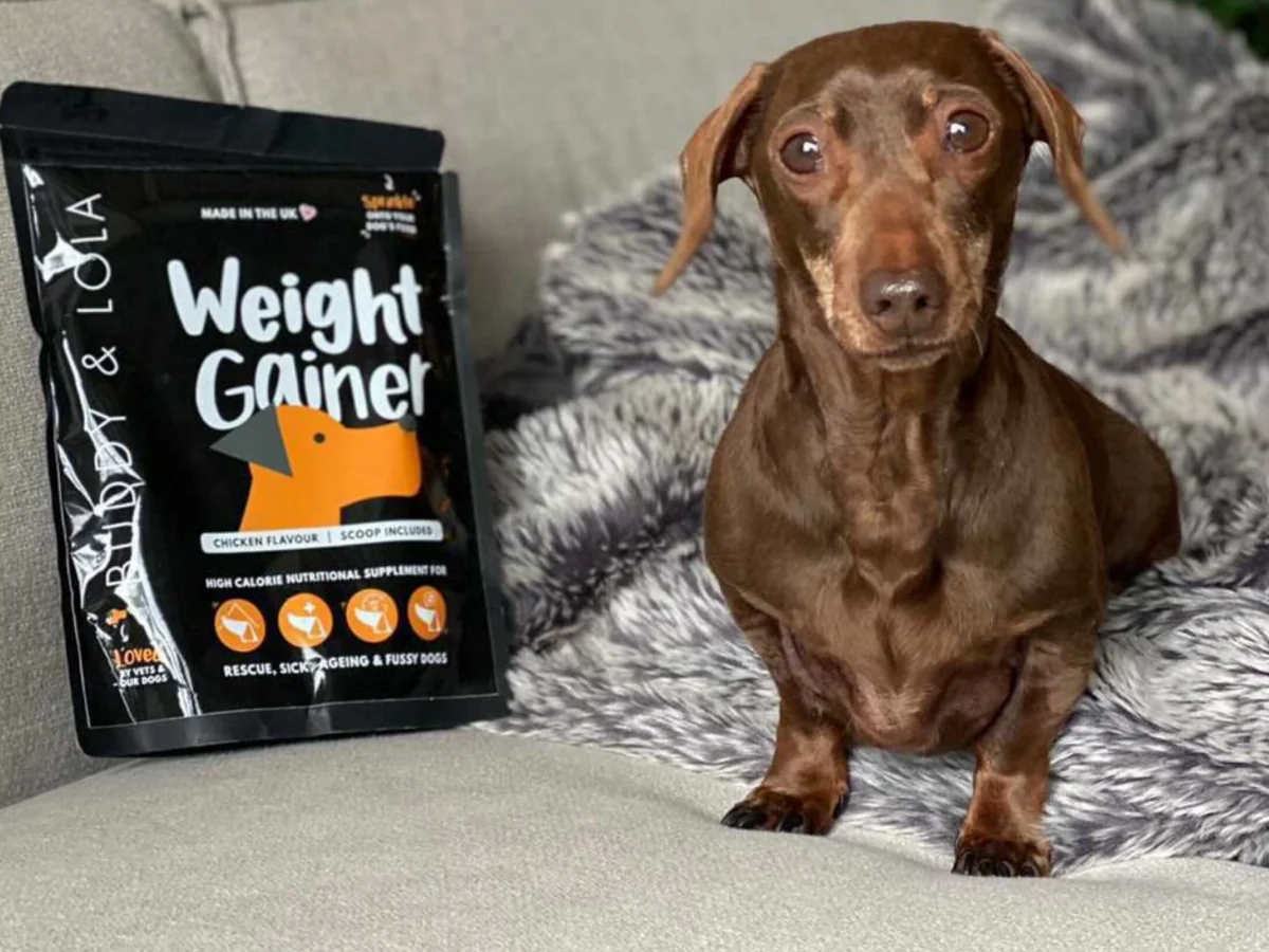 Weight Gainer - 300g - Image 3