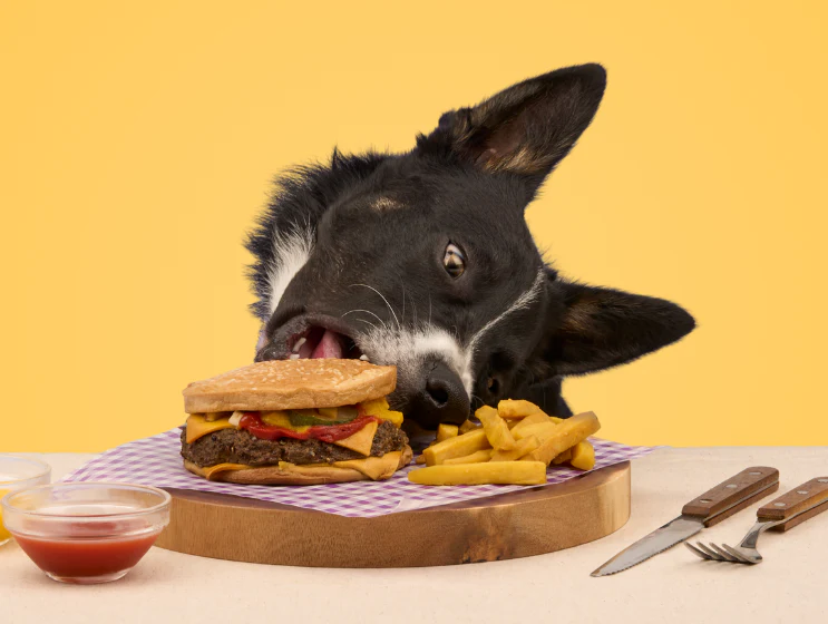 Wild Boar Quarter Pounder Burger with Cheese - Image 4