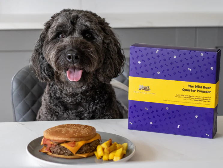 Wild Boar Quarter Pounder Burger with Cheese - Image 5