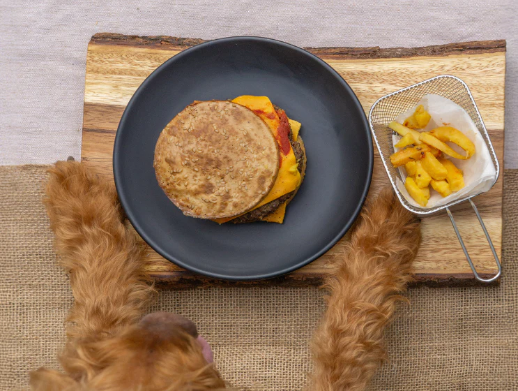 Wild Boar Quarter Pounder Burger with Cheese - Image 6