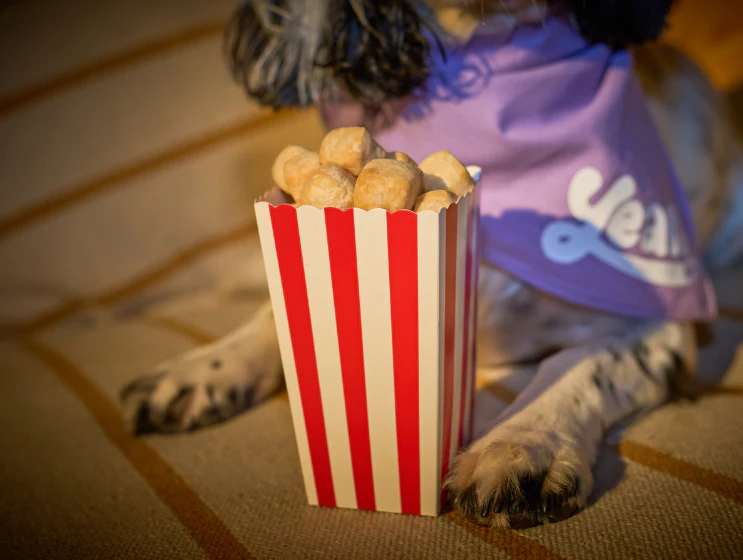 Himalayan Milk 'Pupcorn' Puffs - Image 5