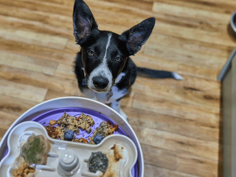 Dinner Spinner - Image 3