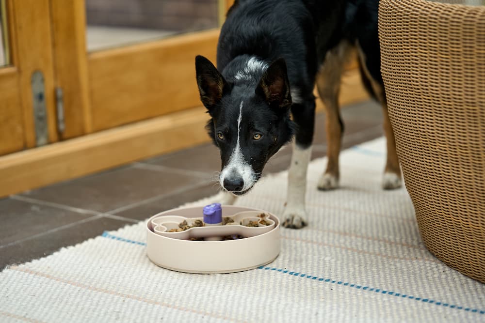Dinner Spinner - Image 4