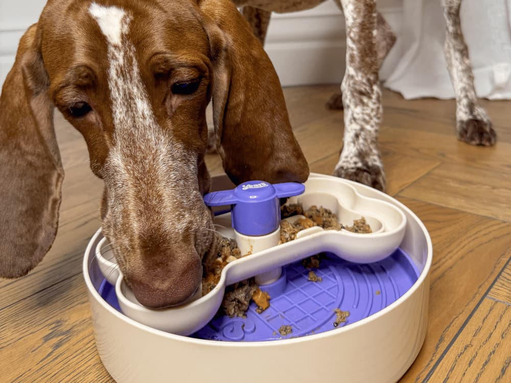 Dinner Spinner - Image 5