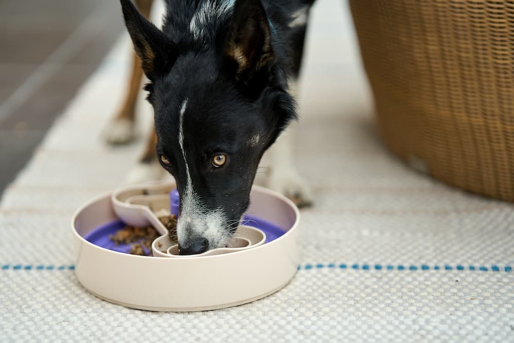 Dinner Spinner - Image 6