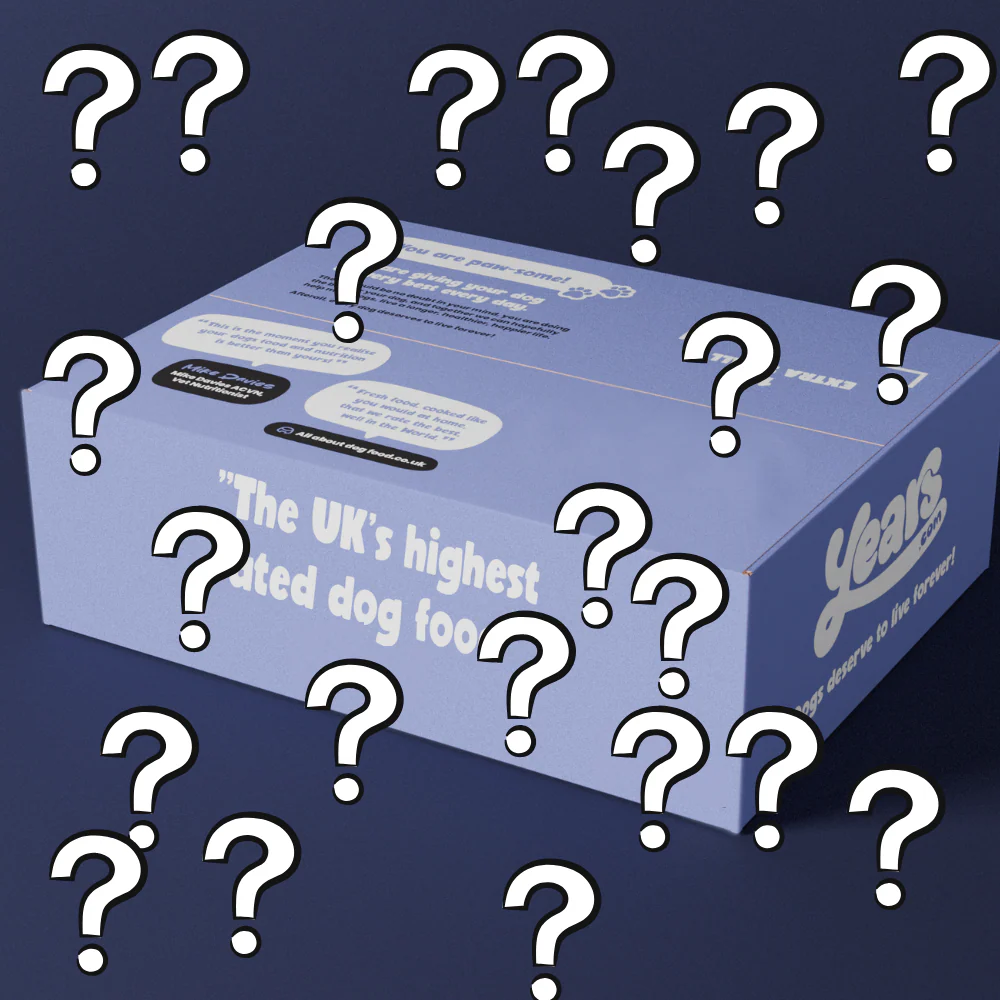 Large Years Mystery Dog Treat Bundle - Worth Up to £50