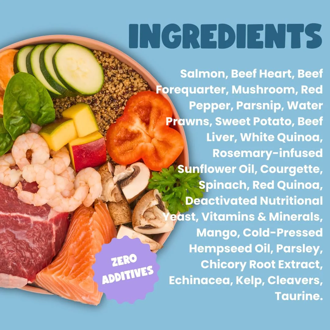 Years Starter Pack |2x Years Adult Dog Fresh Food 280g | Seafood Platter Collection - Surf N' Turf & Salmon & Pollock Cauliflower Bake - Image 2