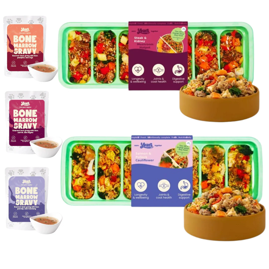 Years Starter Pack | 2x Years Adult Dog Food &+ Trio of Gravies | Steak & Kidney Mushroom Hotpot & Salmon & Pollock Cauliflower Bake